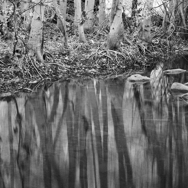 2007-07-28-Sunol-1029