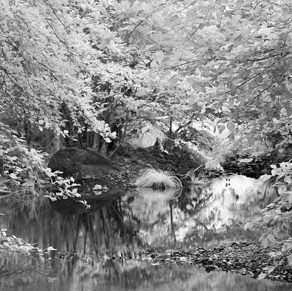 2007-07-30-Sunol-1068