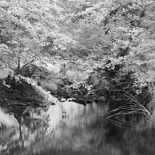 2007-07-30-Sunol-1071