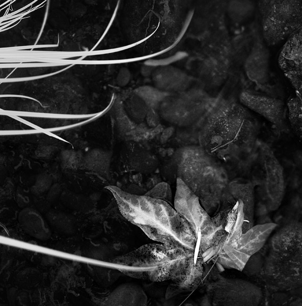 2007-07-30-Sunol-1086