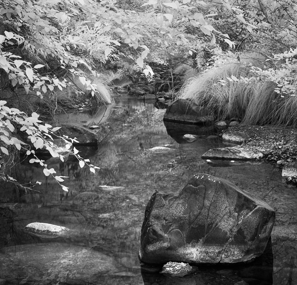 2007-07-30-Sunol-1095
