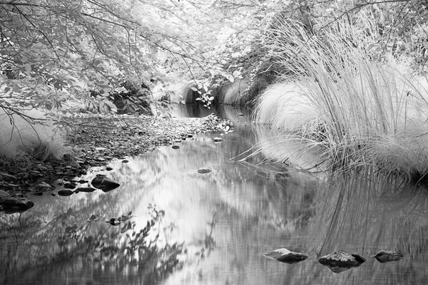 2007-07-30-Sunol-1121