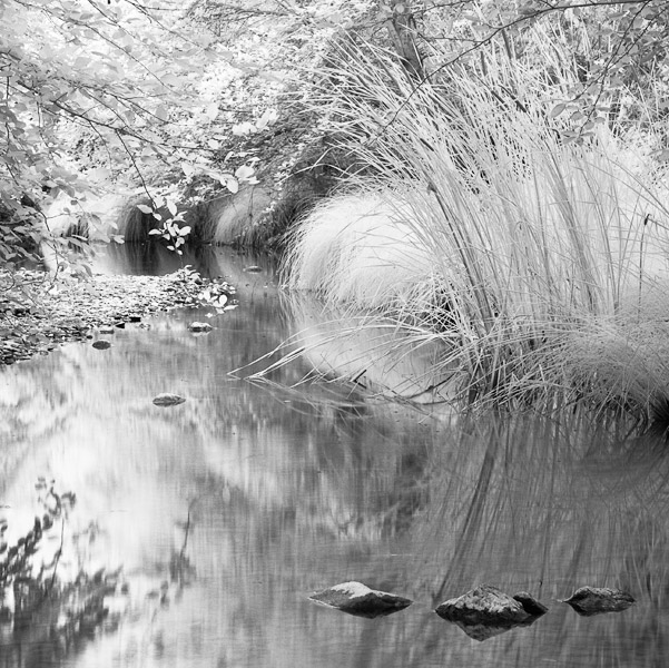 2007-07-30-Sunol-1121A