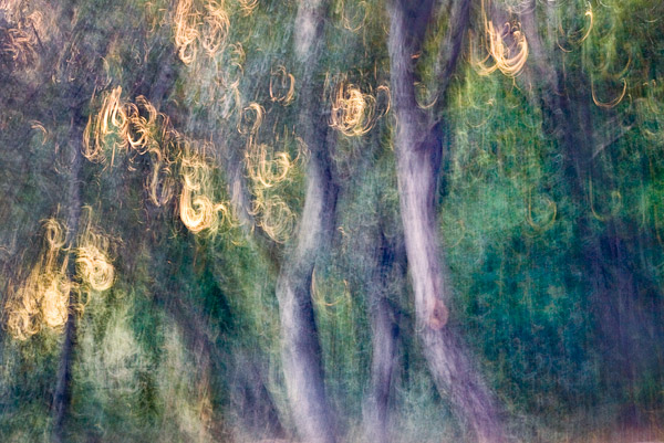 2007-08-03-Home-0823-2