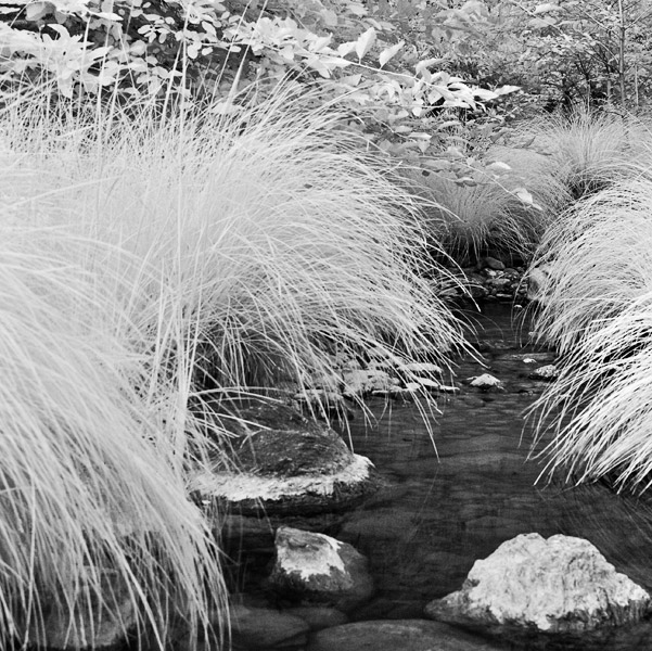 2007-08-03-Sunol-1148