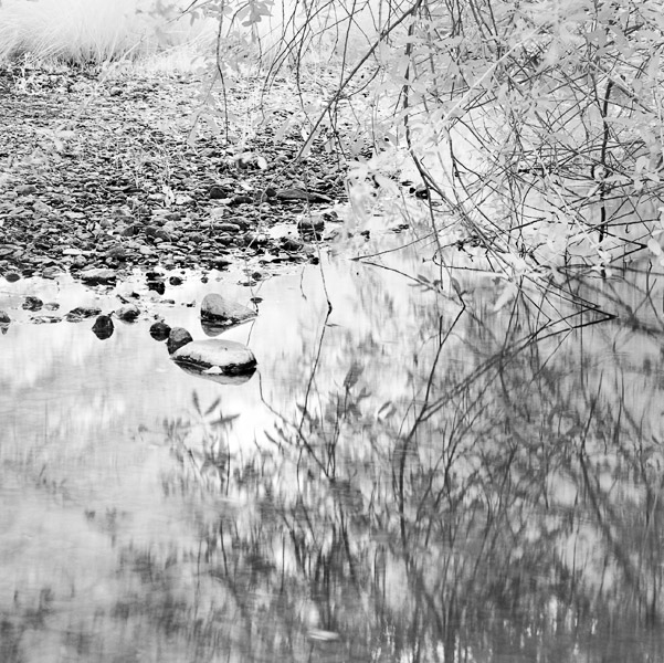 2007-08-03-Sunol-1168