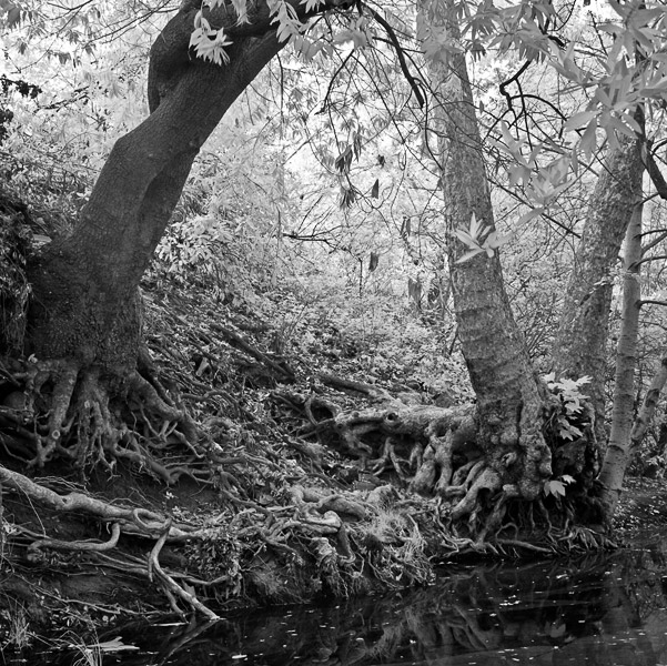 2007-08-07-Sunol-1204
