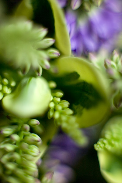 2007-08-12-Home-0876