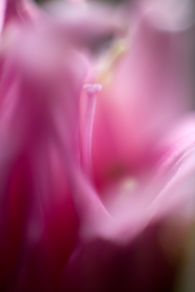 2007-08-17-Home-0961