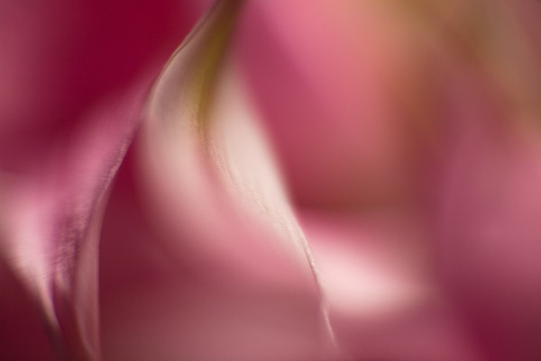 2007-08-17-Home-0978