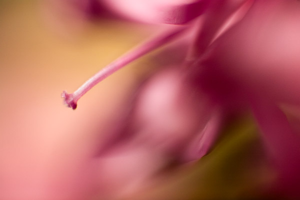 2007-08-17-Home-1005