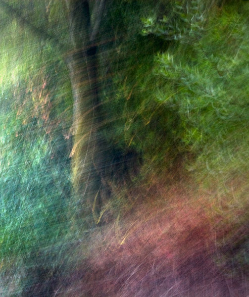 2007-08-20-Sunol-1102