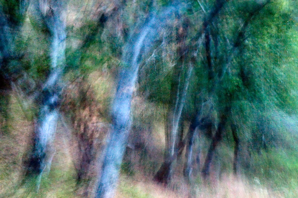 2007-08-20-Sunol-1199