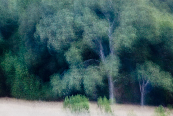 2007-08-20-Sunol-1211