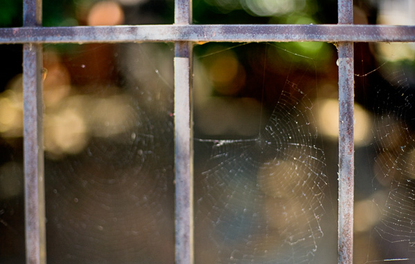 2007-08-226-Niles-1545