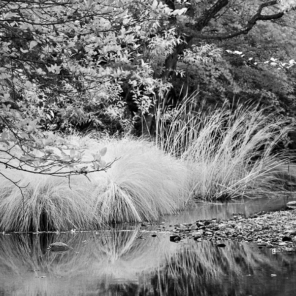 2007-08-27-Sunol-1334