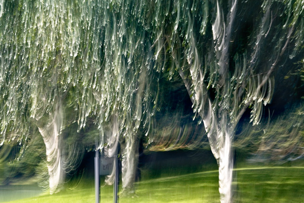 2007-08-31-Seattle-1601