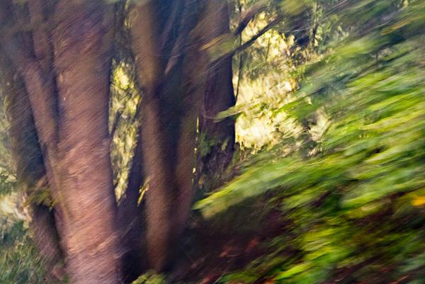 2007-08-31-Seattle-1634