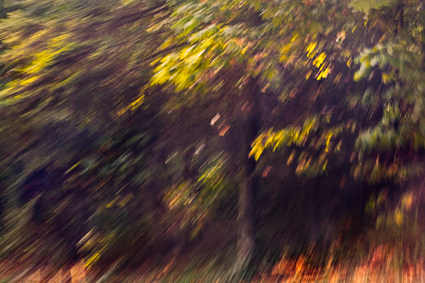 2007-08-31-Seattle-1645