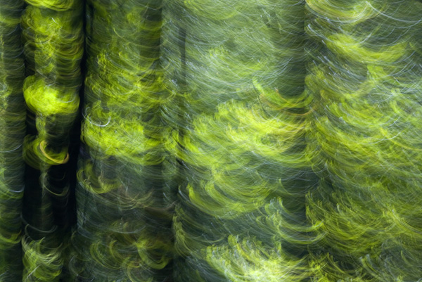 2007-08-31-Seattle-1824