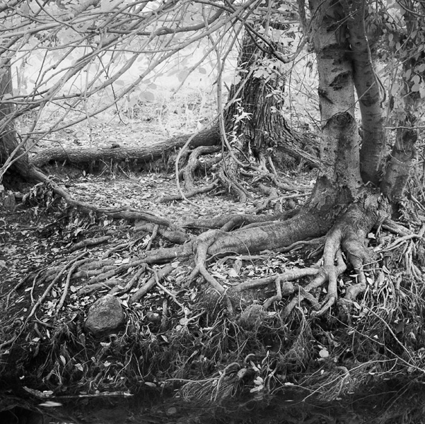 2007-09-03-Sunol-1372