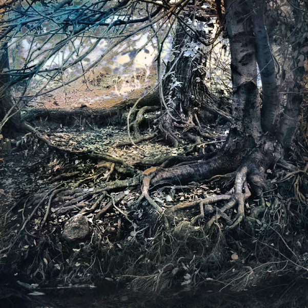 2007-09-03-Sunol-1372C2