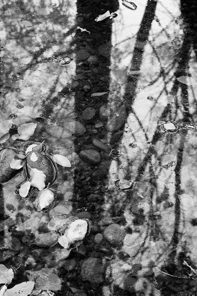 2007-09-03-Sunol-1384