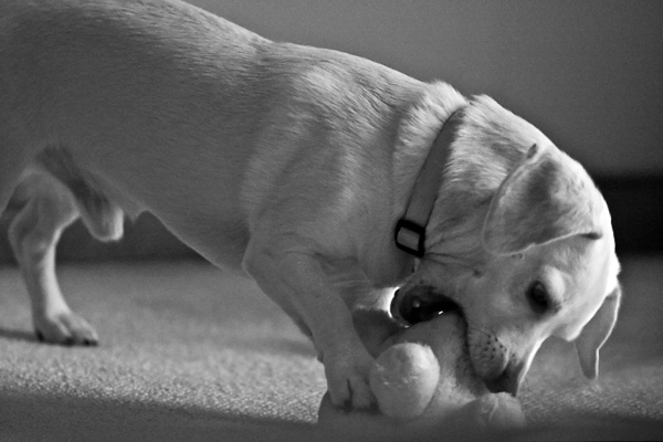 2007-09-10-Home-1418