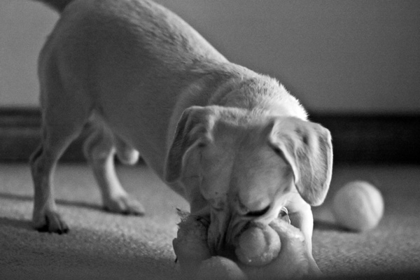 2007-09-10-Home-1420