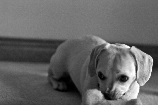 2007-09-10-Home-1424