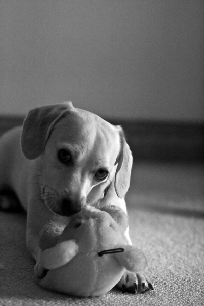 2007-09-10-Home-1438