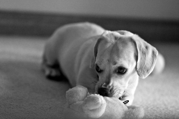 2007-09-10-Home-1444