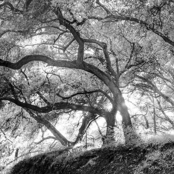 2007-09-17-Sunol-14620P