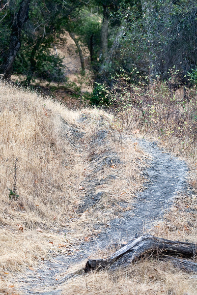 2007-09-17-Sunol-2094