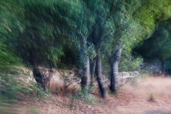 2007-10-03-Sunol-2197