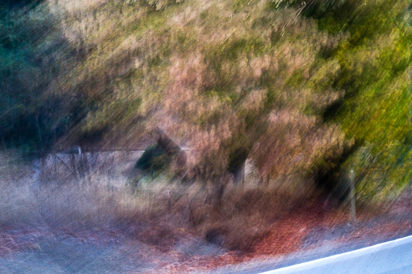 2007-10-03-Sunol-2199