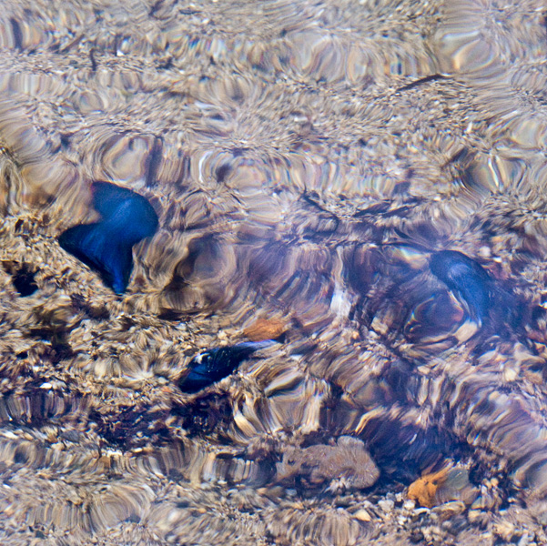 2007-10-18-Pt-Reyes-2268