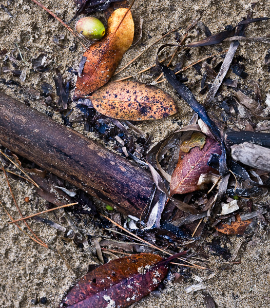 2007-10-18-Pt-Reyes-2277