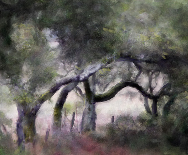 2007-10-19-Pt-Reyes-0153_final