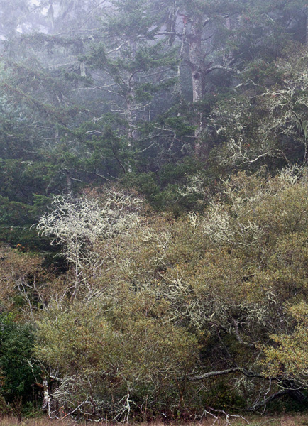2007-10-19-Pt-Reyes-0189