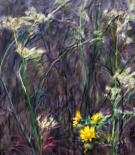 2007-10-19-Pt-Reyes-0193_final