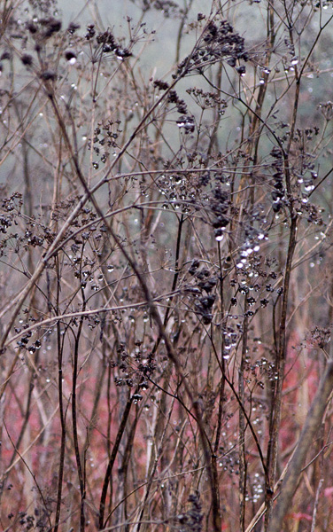 2007-10-19-Pt-Reyes-0197