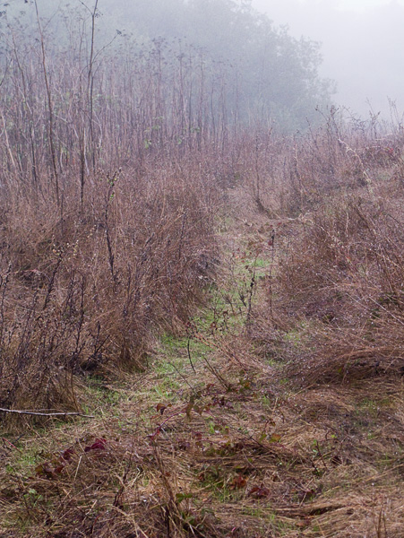 2007-10-19-Pt-Reyes-0198