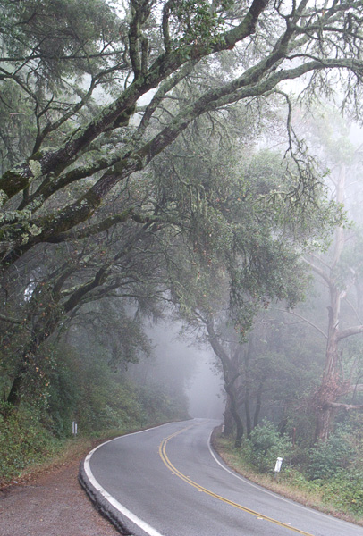 2007-10-19-Pt-Reyes-0210