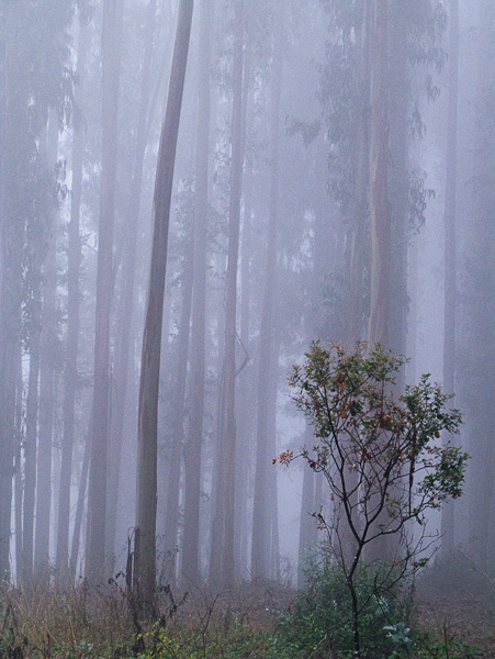 2007-10-19-Pt-Reyes-0213