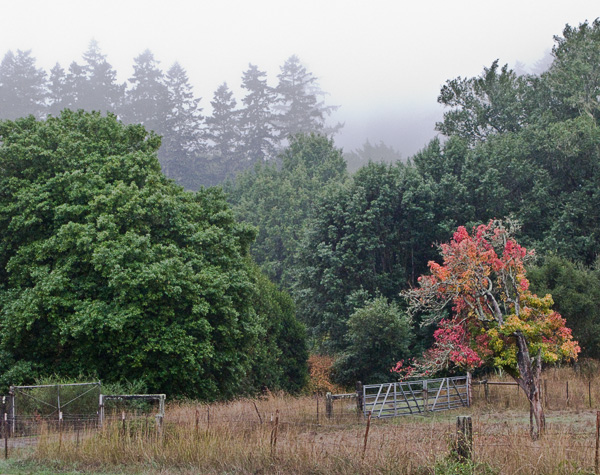 2007-10-19-Pt-Reyes-0248