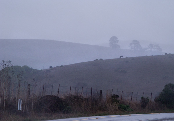 2007-10-19-Pt-Reyes-0258