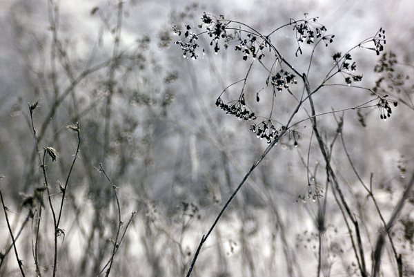 2007-10-19-Pt-Reyes-2505