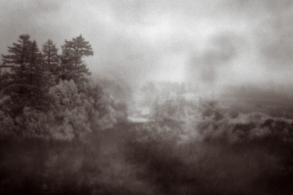 2007-10-19-Pt-Reyes-2531