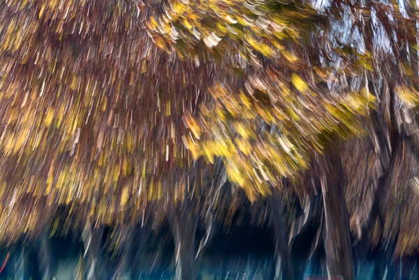 2007-11-04-Drive-By-2381